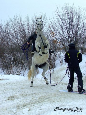 Motoskijöring Dolní Hořice 24.2.2013  