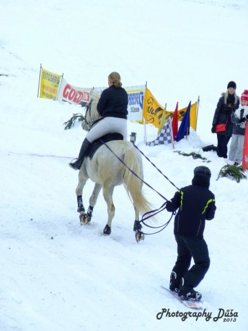 Motoskijöring Dolní Hořice 24.2.2013  