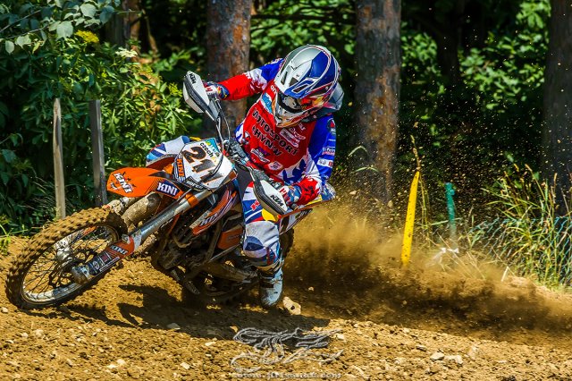 Sezona 2015